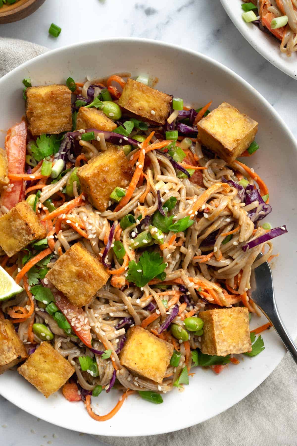 Cold Soba Noodle Salad with Almond Sauce