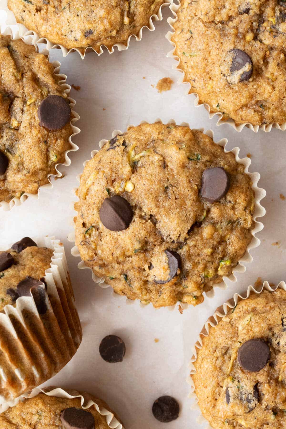 A top view of muffins with chocolate chips.